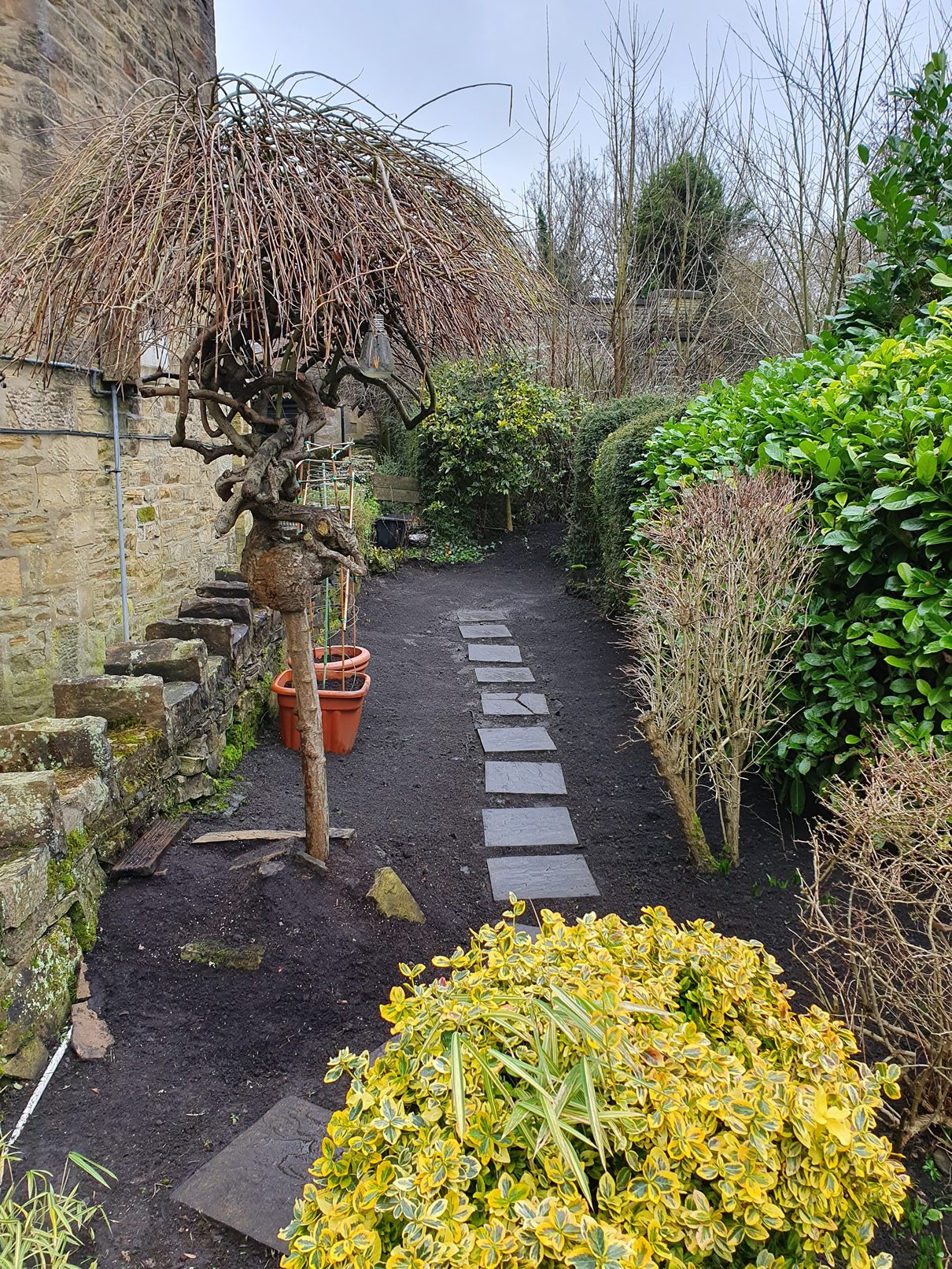 garden stepping stones path